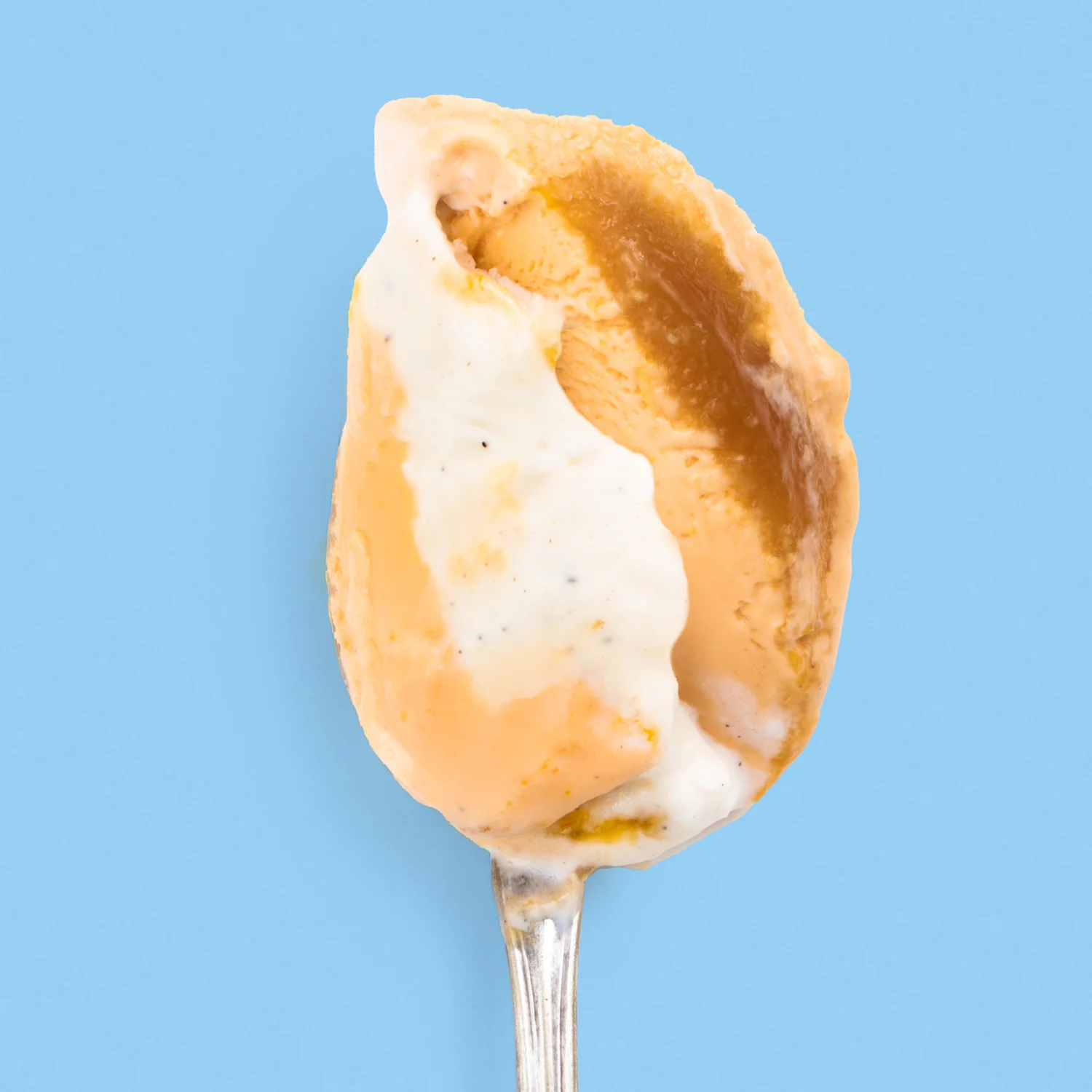 Burnt Orange Dreamsicle - Image 4