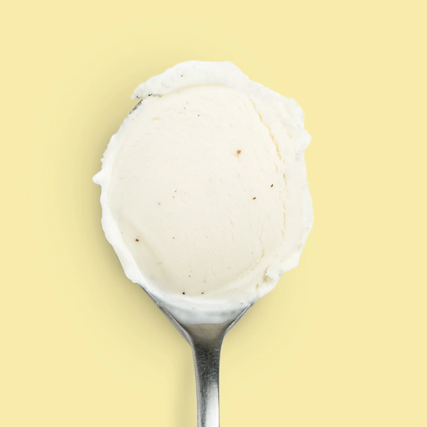 Honey Vanilla Bean - Image 4