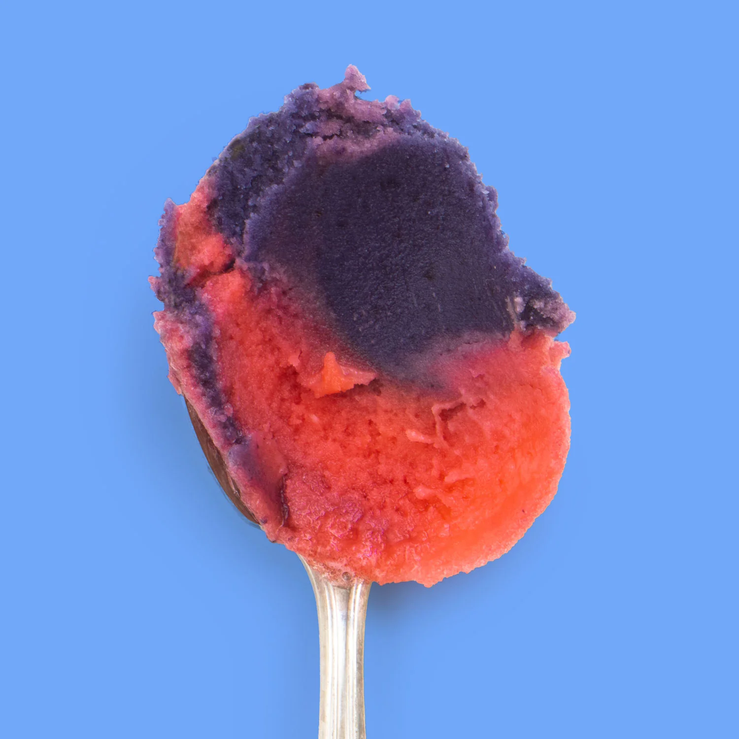 Snow Cone Sorbet - Image 4
